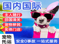 黄山屯溪航空快递国际宠物托运 【国